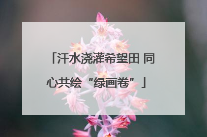 汗水浇灌希望田 同心共绘“绿画卷”