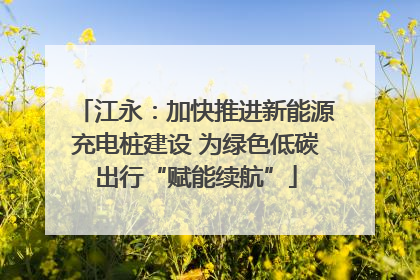 江永：加快推进新能源充电桩建设 为绿色低碳出行“赋能续航”
