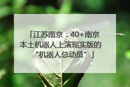 江苏南京：40+南京本土机器人上演现实版的“机器人总动员”