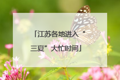 江苏各地进入“三夏”大忙时间