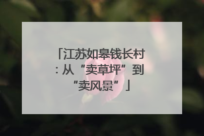 江苏如皋钱长村：从“卖草坪”到“卖风景”