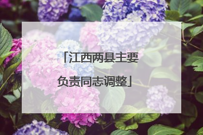 江西两县主要负责同志调整