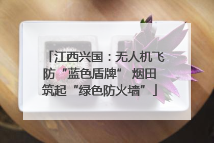 江西兴国：无人机飞防“蓝色盾牌” 烟田筑起“绿色防火墙”
