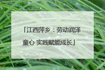 江西萍乡：劳动润泽童心 实践赋能成长