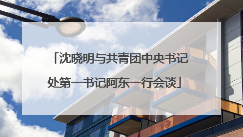 沈晓明与共青团中央书记处第一书记阿东一行会谈