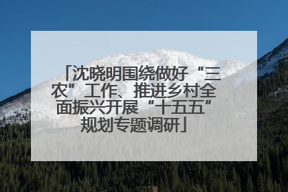 沈晓明围绕做好“三农”工作、推进乡村全面振兴开展“十五五”规划专题调研