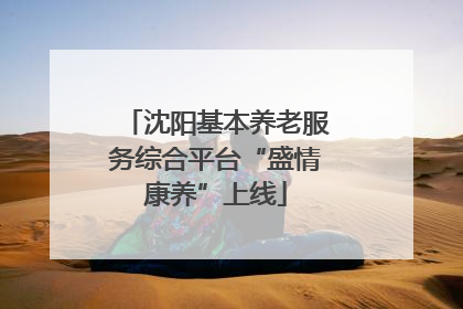 沈阳基本养老服务综合平台“盛情康养”上线