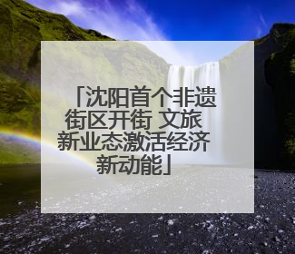 沈阳首个非遗街区开街 文旅新业态激活经济新动能
