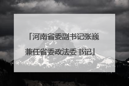河南省委副书记张巍兼任省委政法委书记