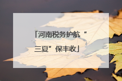 河南税务护航“三夏”保丰收