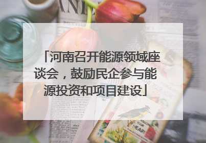 河南召开能源领域座谈会，鼓励民企参与能源投资和项目建设