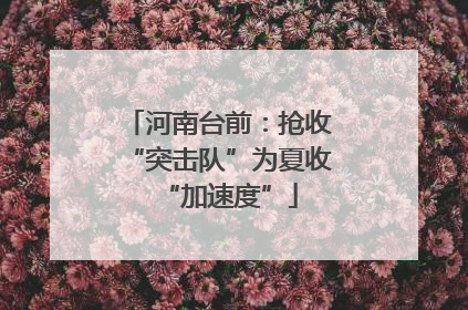 河南台前：抢收“突击队”为夏收“加速度”