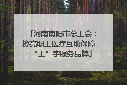 河南南阳市总工会：擦亮职工医疗互助保障“工”字服务品牌