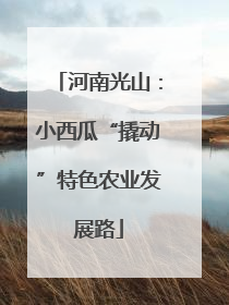 河南光山：小西瓜“撬动”特色农业发展路