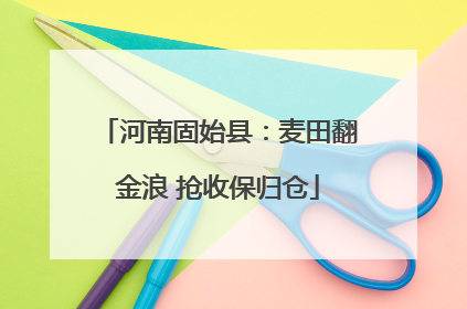 河南固始县：麦田翻金浪 抢收保归仓