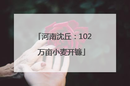 河南沈丘：102 万亩小麦开镰