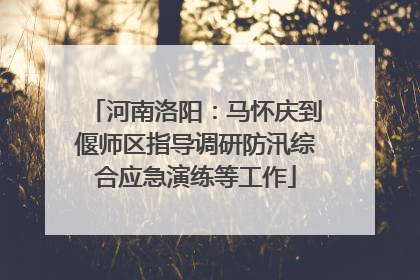 河南洛阳：马怀庆到偃师区指导调研防汛综合应急演练等工作