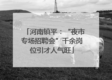 河南镇平：“夜市专场招聘会”千余岗位引才人气旺