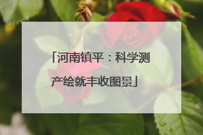 河南镇平：科学测产绘就丰收图景