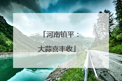 河南镇平：大蒜喜丰收