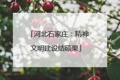 河北石家庄：精神文明建设结硕果