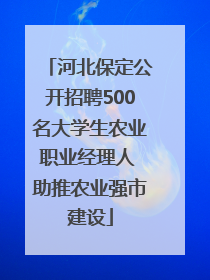 河北保定公开招聘500名大学生农业职业经理人 助推农业强市建设