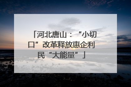 河北唐山：“小切口”改革释放惠企利民“大能量”