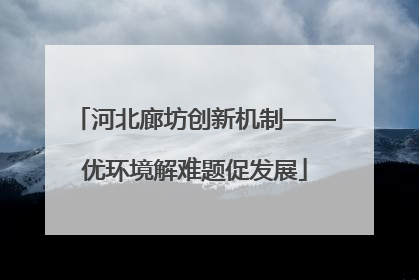 河北廊坊创新机制——优环境解难题促发展
