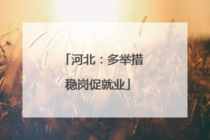 河北：多举措稳岗促就业