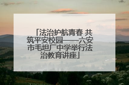法治护航青春 共筑平安校园——六安市毛坦厂中学举行法治教育讲座
