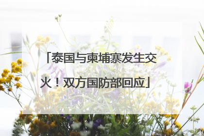 泰国与柬埔寨发生交火！双方国防部回应