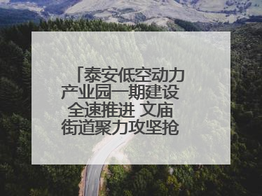 泰安低空动力产业园一期建设全速推进 文庙街道聚力攻坚抢抓“进度条”