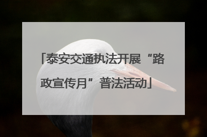 泰安交通执法开展“路政宣传月”普法活动