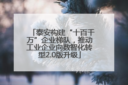 泰安构建“十百千万”企业梯队，推动工业企业向数智化转型2.0版升级