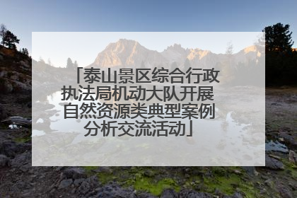泰山景区综合行政执法局机动大队开展自然资源类典型案例分析交流活动