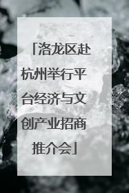 洛龙区赴杭州举行平台经济与文创产业招商推介会