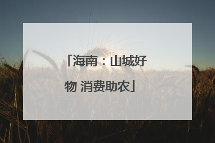 海南：山城好物 消费助农