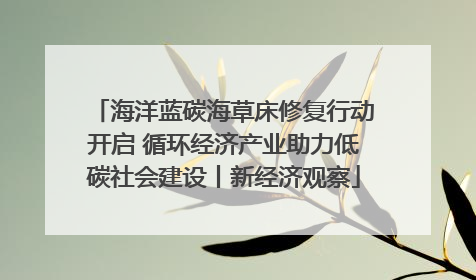 海洋蓝碳海草床修复行动开启 循环经济产业助力低碳社会建设丨新经济观察