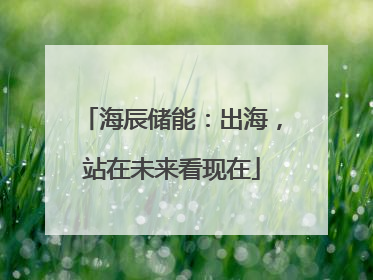 海辰储能：出海，站在未来看现在