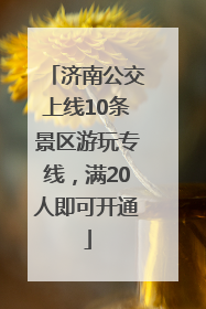 济南公交上线10条景区游玩专线，满20人即可开通