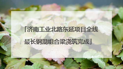 济南工业北路东延项目全线最长钢混组合梁浇筑完成