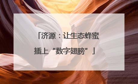 济源：让生态蜂蜜插上“数字翅膀”