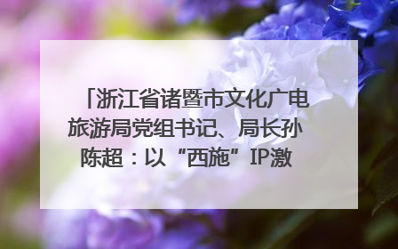 浙江省诸暨市文化广电旅游局党组书记、局长孙陈超：以“西施”IP激活全域旅游 打造县域文旅融合新标杆｜第七届全国县域旅游研究成果发布系列活动