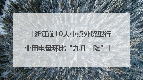 浙江前10大重点外贸型行业用电量环比“九升一降”