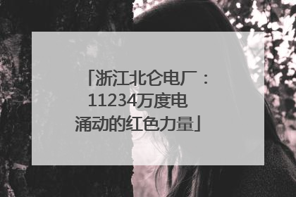 浙江北仑电厂：11234万度电涌动的红色力量