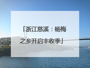 浙江慈溪：杨梅之乡开启丰收季