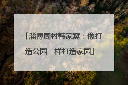 淄博周村韩家窝：像打造公园一样打造家园