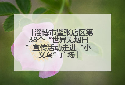 淄博市暨张店区第38个“世界无烟日”宣传活动走进“小义乌”广场