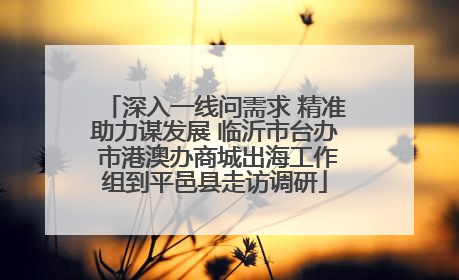 深入一线问需求 精准助力谋发展 临沂市台办 市港澳办商城出海工作组到平邑县走访调研