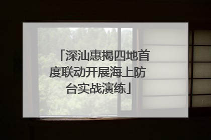 深汕惠揭四地首度联动开展海上防台实战演练